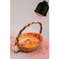 Светильник ЭРА FITO-E27-SHADE Б0053286 в Бресте