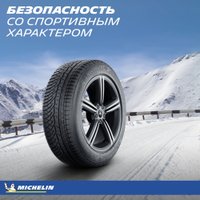 Зимние шины Michelin Pilot Alpin 4 295/30R20 101V