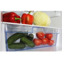 Холодильник Орск 172 B (белый)