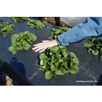 Укрывной материал Техсоюз Полюс Пленка сельскохозяйственная