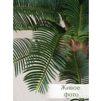 Искусственное растение Merry Bear Home Decor Пальма Саговая Цикас AR22083