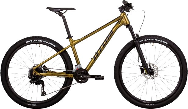 

Велосипед Atom Bion Seven 50 XS 2024 (Silk Sparkling Gold)