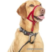 Недоуздок Halti Headcollar 11440B (Size 4, красный) в Гомеле