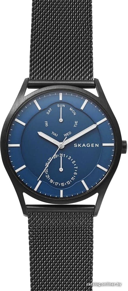 Наручные часы Skagen SKW6450