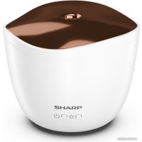 Увлажнитель воздуха Sharp DF-A1E-W