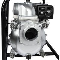 Мотопомпа DDE PTR100H