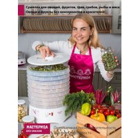 Сушилка для овощей и фруктов Мастерица EFD-0903VM (с прозрачными поддонами)