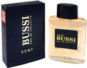 Туалетная вода Neo Parfum Sent Bussi Pour Homme EdT (100 мл)