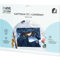 Картина по номерам Три совы Чародейка КК_53781