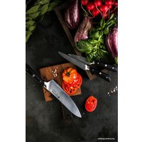 Набор ножей Polaris Stein-4BSS