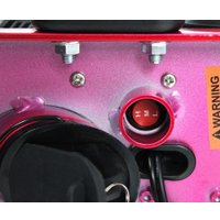 Электромотоцикл RiverToys A001AA (фиолетовый)