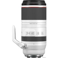 Объектив Canon RF 100-500mm f/4.5-7.1 L IS USM