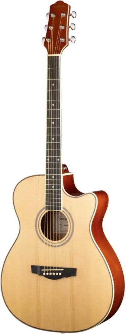 

Акустическая гитара Naranda TG220CNA