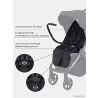 Коляска прогулочная «книга» Rant Golf RA101 (black)