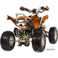 Квадроцикл IRBIS ATV 250S