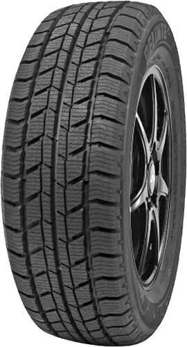 Зимние шины Delinte Winter WD2 205/70R15C 106/104S