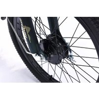 Электровелосипед MyWay Truck 1.0 500 24 (15, темно-зеленый)