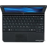 Нетбук Toshiba NB250-107 (PLL2PE-00200WEN)