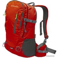 Городской рюкзак Pinguin Step 24 (красный)