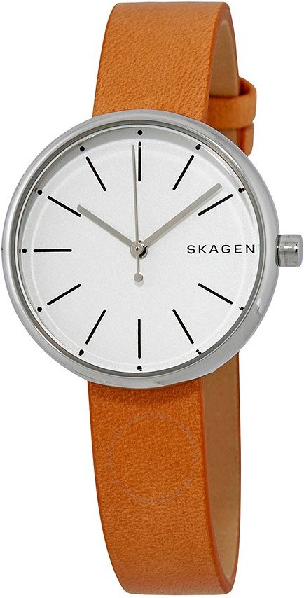 

Наручные часы Skagen SKW2594