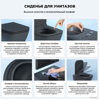 Унитаз подвесной Wellsee Pure BY Wellsee RimFree 182604001 (чаша, пневмокрышка, матовый черный)