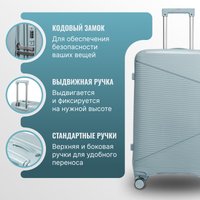 Чемодан-спиннер DoubleW Nexo (L, светло-голубой)