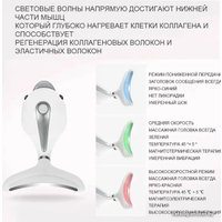Многофункциональный массажер WellSkins WX-MJ100