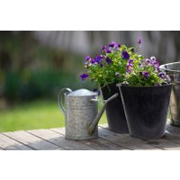 Вазон Multy Home Octavia EU5100052 (черный)