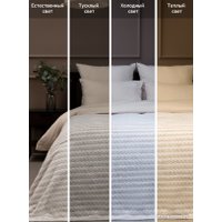 Плед Tex Republic Absolute Зигзаг двухцветный Flannel 220x200 92572 (бежевый)