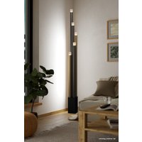 Торшер Eglo Estanterios 39908