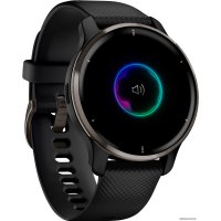 Умные часы Garmin Venu 2 Plus (черный)