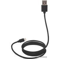 Кабель Canyon MFI-1 CNS-MFICAB01B USB Type-A - Lightning (1 м, черный)