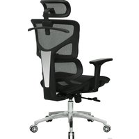 Офисное кресло Evolution ERGO Mesh (черный)