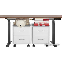 Стол для работы стоя ErgoSmart Ergo Desk Pro 1360x800x36 мм (альпийский белый/черный)