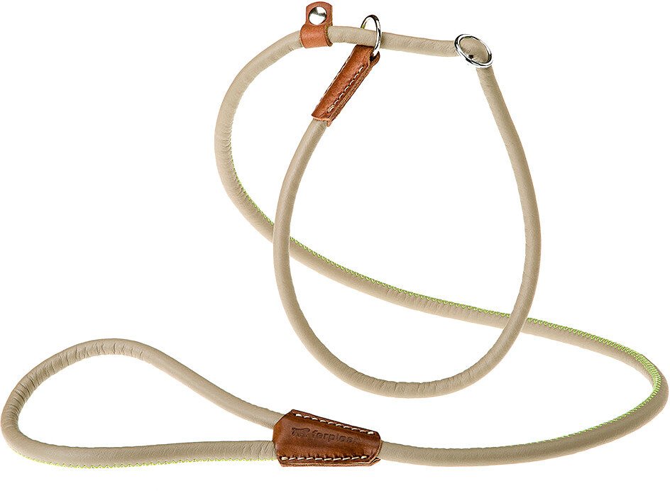 

Ошейник с поводком Ferplast Derby GC10/160 75383503 (фиолетовый)