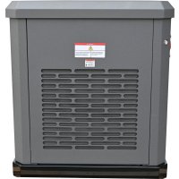 Газовый генератор Evoline GNG 13500 E в Лиде