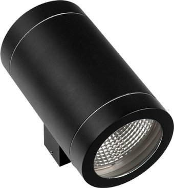 Уличный настенный светильник Lightstar Paro 351617