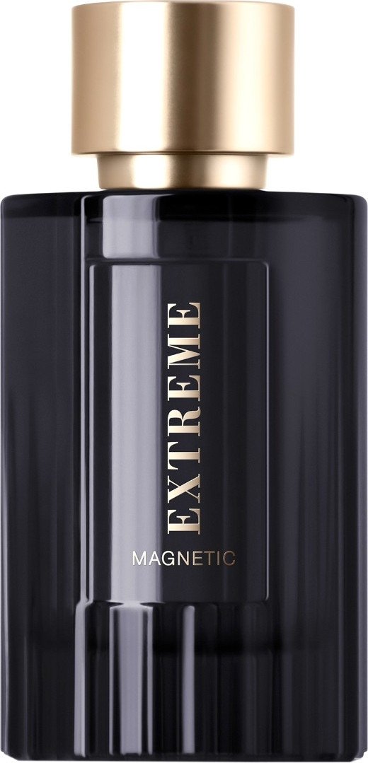 Парфюмерная вода La Ville Extreme Magnetic EdP (100 мл)