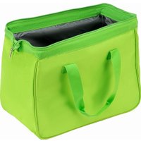 Термосумка Palisad 69602 30л (зеленый)