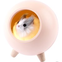 Ночник ЭРА NLED-468-1W-P