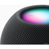 Умная колонка Apple HomePod Mini (полуночный)