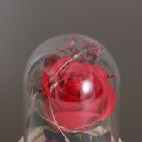 Настольная лампа Risalux Колба Роза 10539553 (красный) в Могилеве