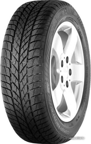 Gislaved Euro*Frost 5 205/55R16 91H