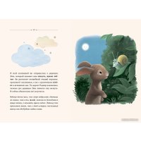 Книга издательства МИФ. Кролик, который хочет уснуть. Сказка в помощь родителям (Форссен Эрлин К.) в Гродно