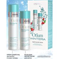 Набор средств Estel Professional Otium Winteria (шампунь 250мл+бальзам 200мл)