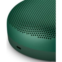 Беспроводная колонка Bang & Olufsen Beosound A1 2nd Gen (зеленый)