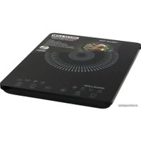 Настольная плита Willmark WIP-843BT