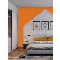 Колеровочная краска Palizh Колеровочная CP.502 750мл (мандарин)