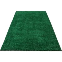 Ковер для жилой комнаты Moldabela Shaggy Viva 30 Прямоугольник 1039 1 36600 (1.6x2.3)