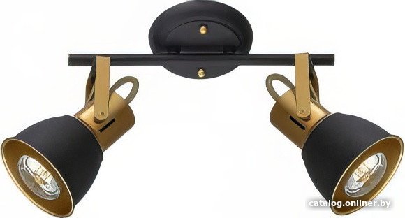 Спот Arte Lamp Jovi A1677PL-2GO